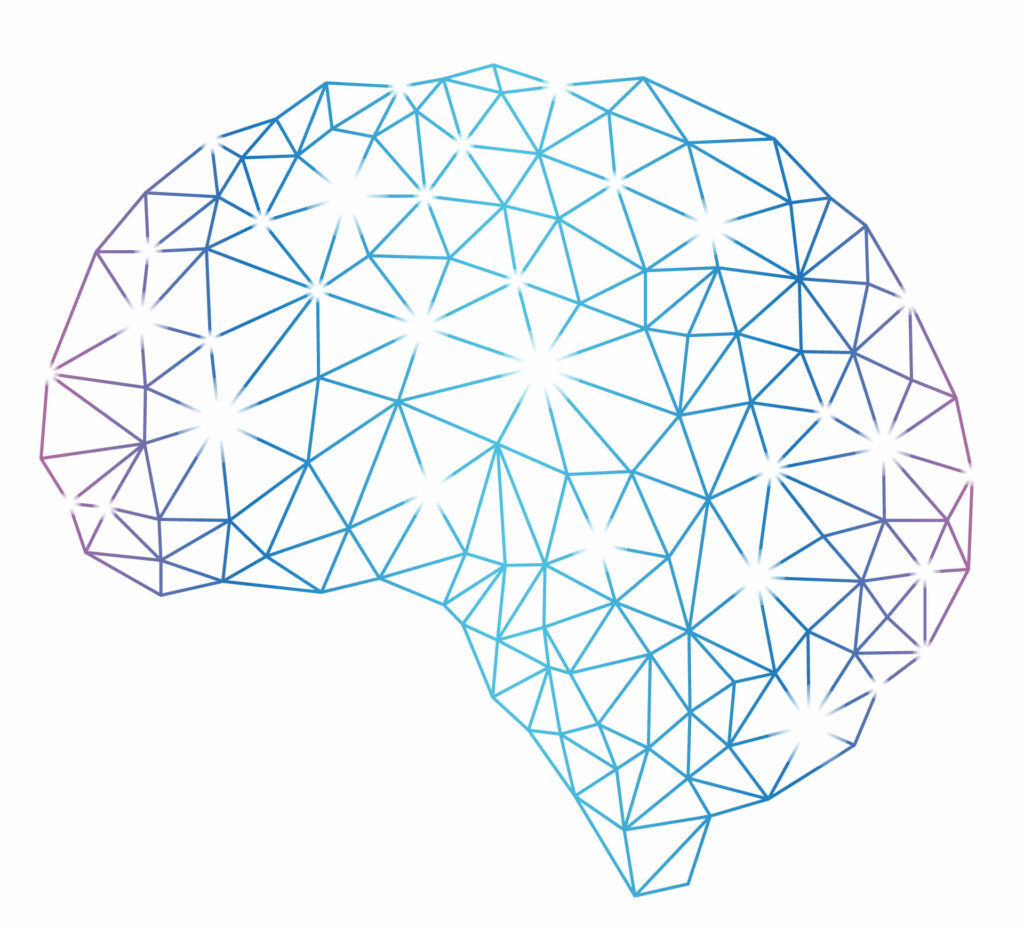 brain